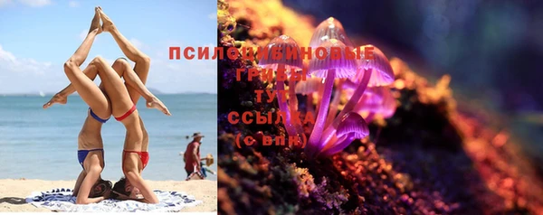 хмурый Корсаков