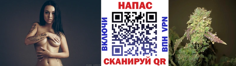 купить наркотик  Фокино  Бошки марихуана планчик 